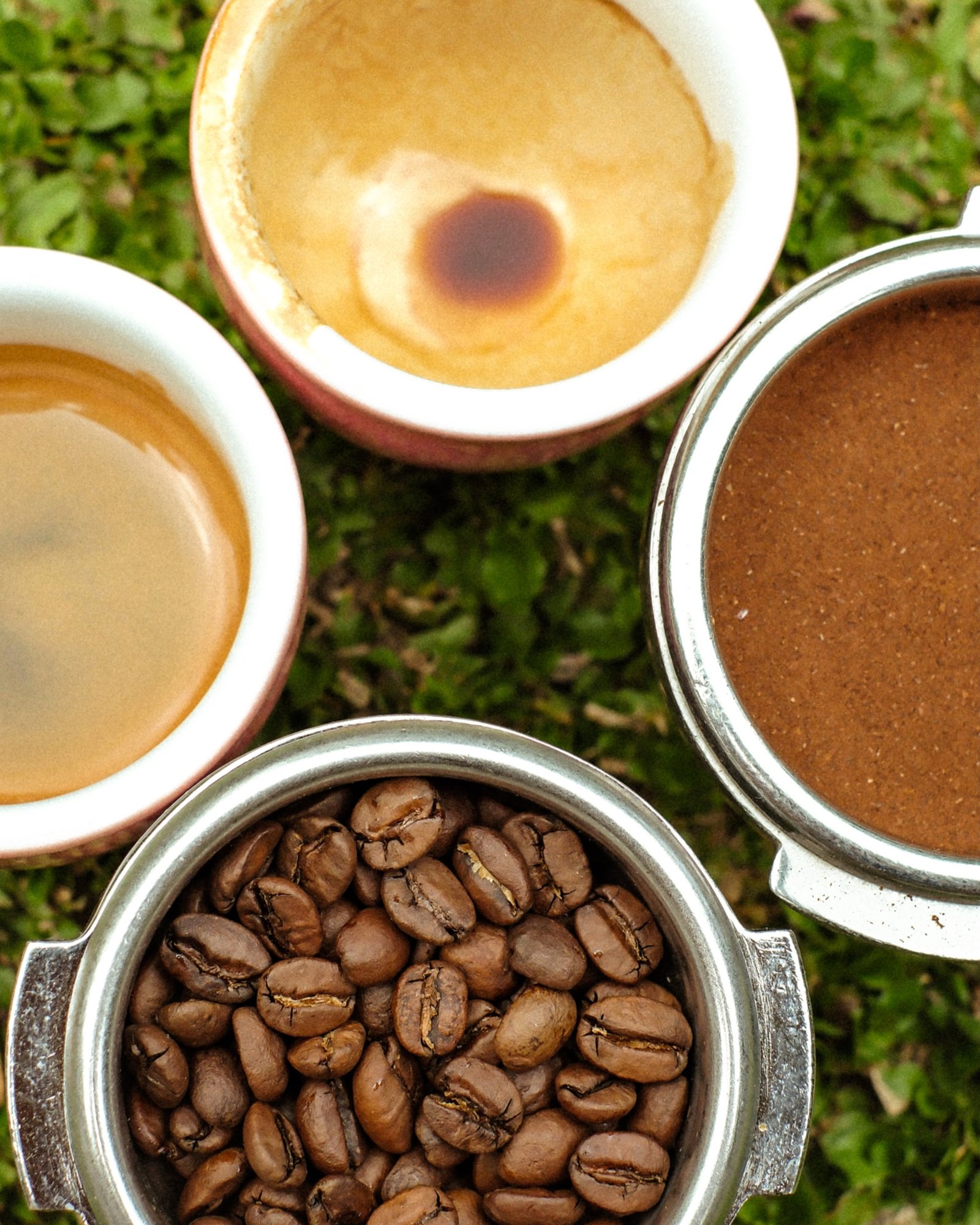 Close up of roasted coffee beans, fresh grounds and two espressos with golden crema.