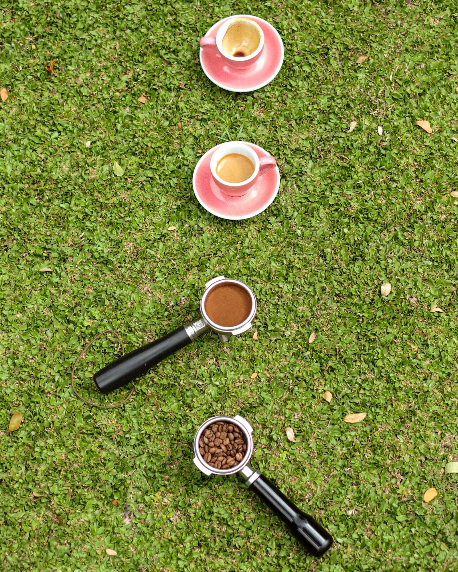 Coffee beans, ground coffee, a fresh espresso and an empty cup lined up on the grass.